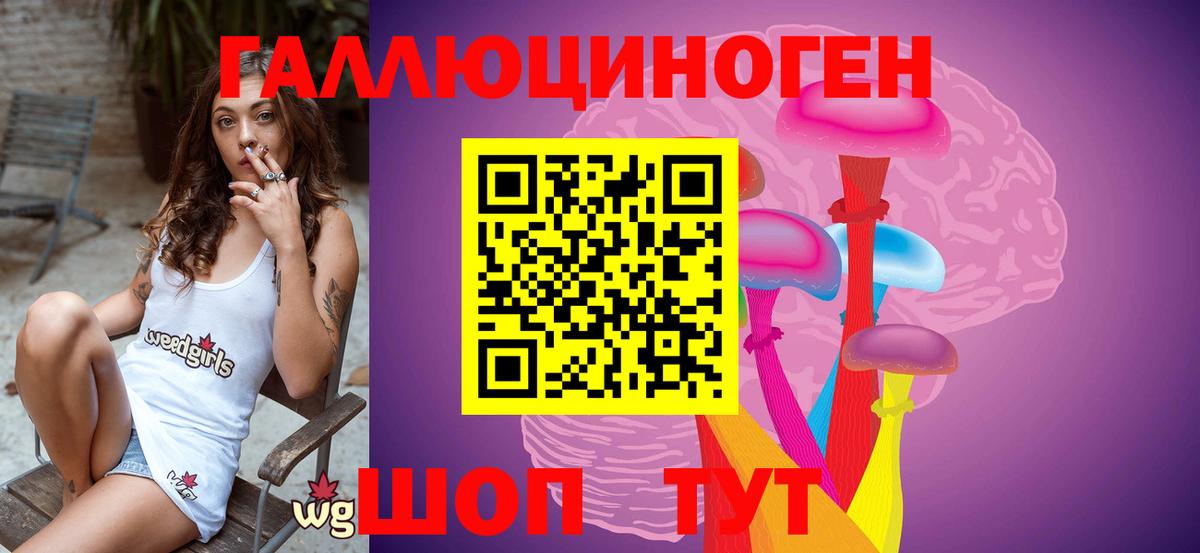 Саратов  Псилоцибиновые грибы Psilocybine cubensis  Вход с VPN 