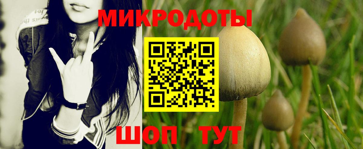 Псилоцибиновые грибы прущие грибы Саратов